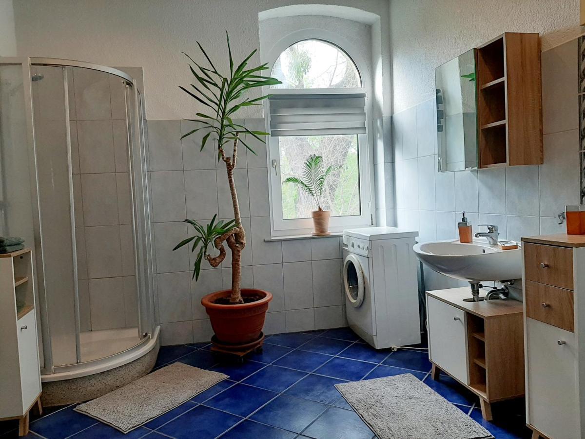 Fewo Rosenbluete Am Stadtpark Wittenberg Ngoại thất bức ảnh