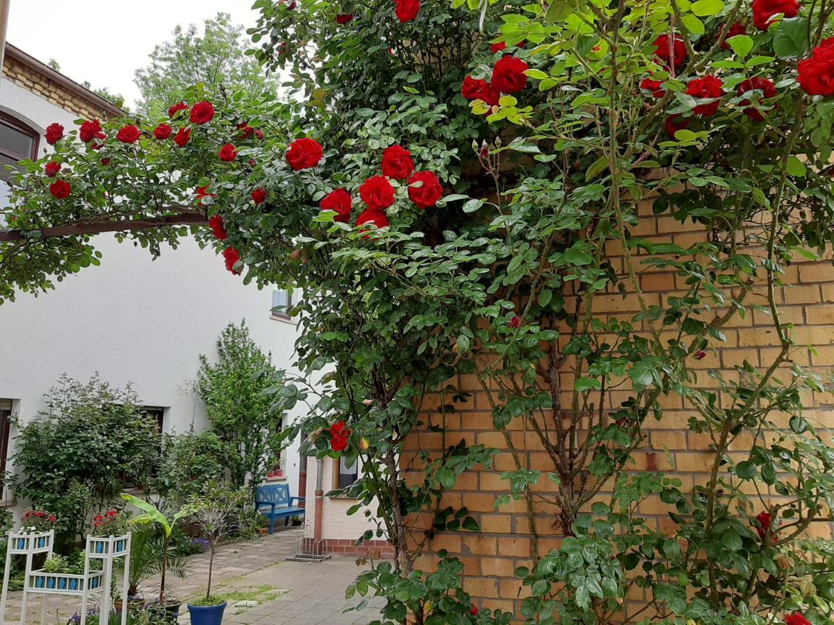 Fewo Rosenbluete Am Stadtpark Wittenberg Ngoại thất bức ảnh